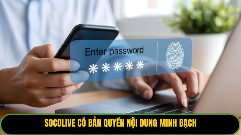 Socolive có bản quyền nội dung minh bạch