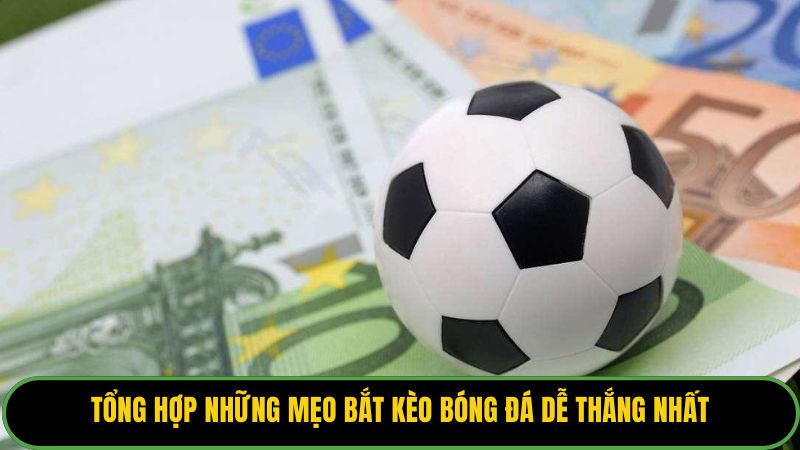 Tổng hợp những mẹo bắt kèo bóng đá dễ thắng nhất.