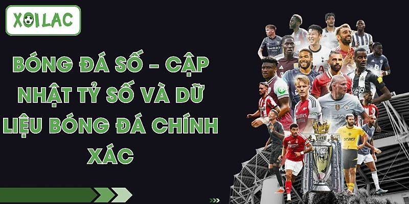 Bóng Đá Số – Cập Nhật Tỷ Số Và Dữ Liệu Bóng Đá Chính Xác 1 Bóng Đá Số – Cập Nhật Tỷ Số Và Dữ Liệu Bóng Đá Chính Xác
