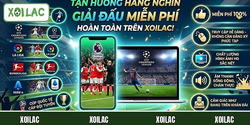 Các giải bóng được web phát sóng free