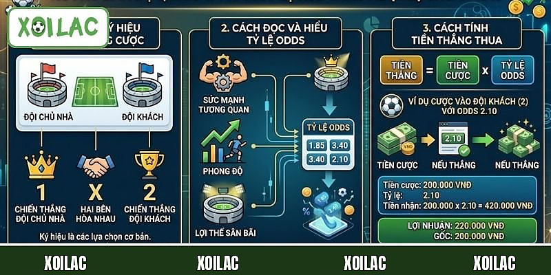 Kèo Châu Âu - Tìm Hiểu Tỷ Lệ Cược Phổ Biến Hiện Nay 3 Cách đọc cược Châu Âu dễ hiểu cho người mới