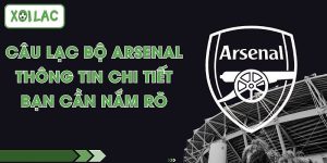 Câu Lạc Bộ Arsenal - Thông Tin Chi Tiết Bạn Cần Nắm