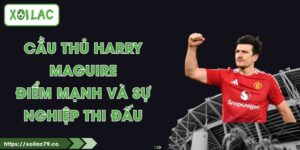 Cầu Thủ Harry Maguire - Điểm Mạnh Và Sự Nghiệp Thi Đấu