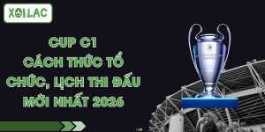 Cup C1 - Cách Thức Tổ Chức, Lịch Thi Đấu Mới Nhất 2026