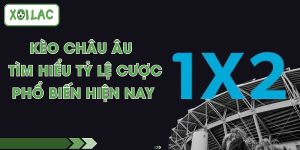 Kèo Châu Âu - Tìm Hiểu Tỷ Lệ Cược Phổ Biến Hiện Nay