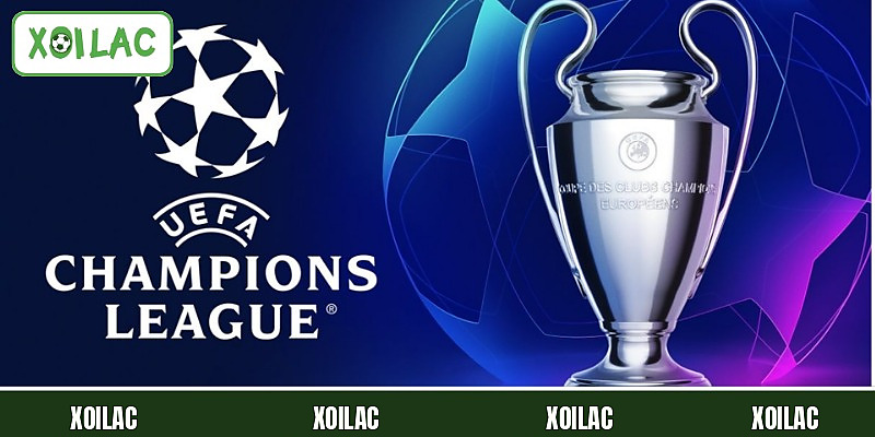 Khái quát về Cup C1