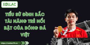 Tiểu Sử Đình Bắc - Tài Năng Trẻ Nổi Bật Của Bóng Đá Việt