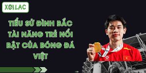 Tiểu Sử Đình Bắc - Tài Năng Trẻ Nổi Bật Của Bóng Đá Việt