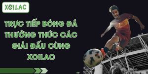 Trực Tiếp Bóng Đá - Thưởng Thức Các Giải Đấu Cùng Xoilac